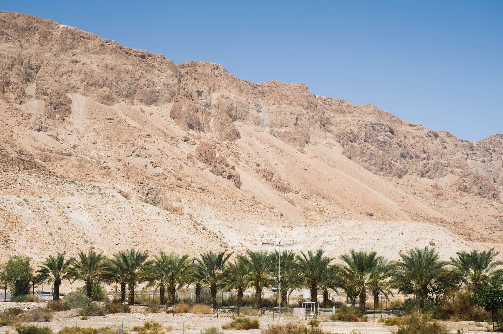 Judean Desert, Israel