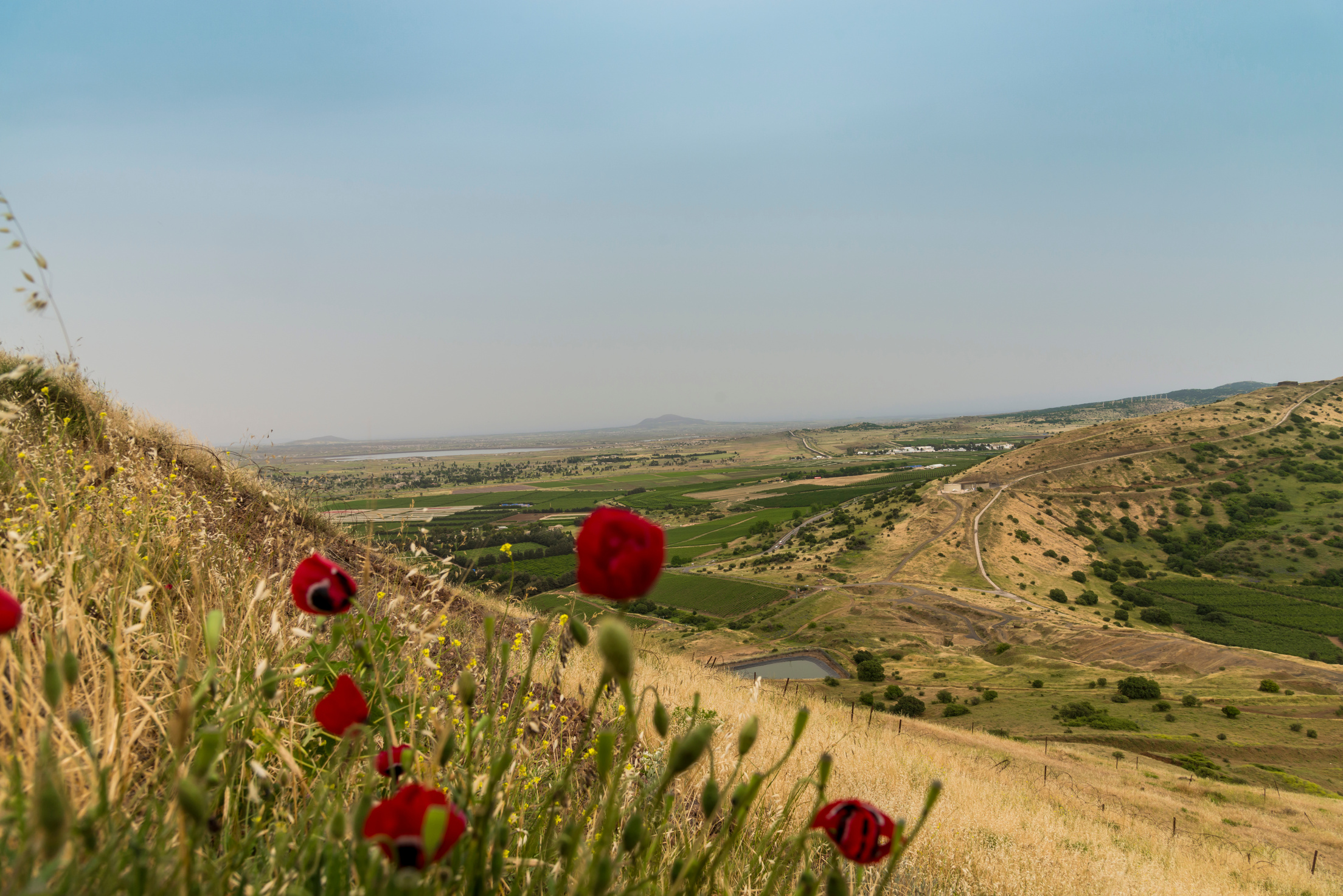 The Israel Syria border